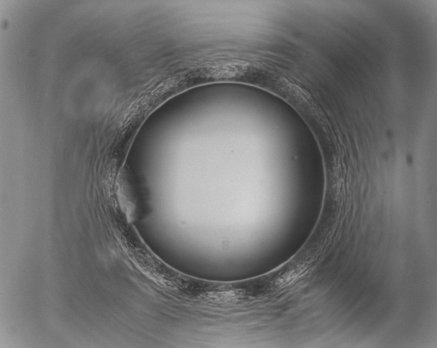 X0000057080307200509161611