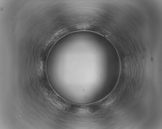 X0000057080308200509161611