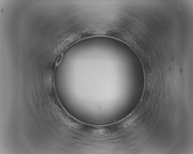 X0000057080309200509161611