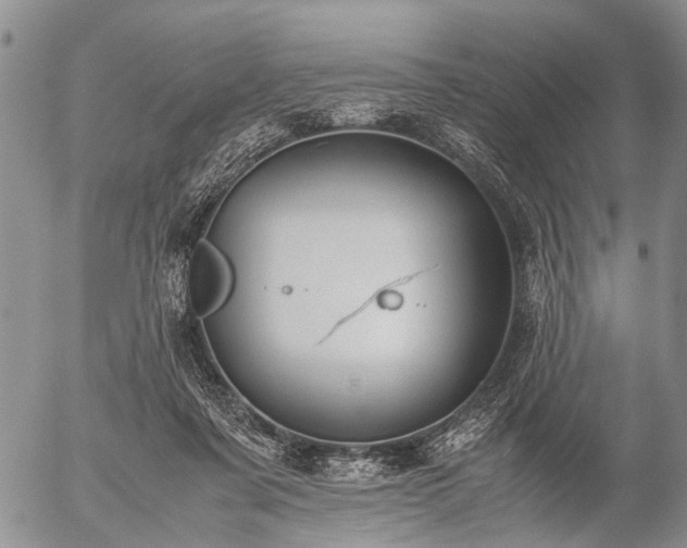 X0000057080311200509161611