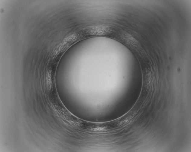 X0000057080312200509161611