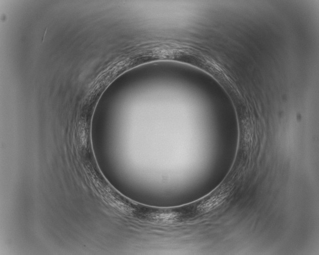 X0000057080313200509161611