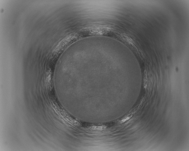 X0000057080314200509161611