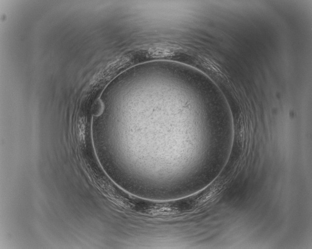 X0000057080315200509161611