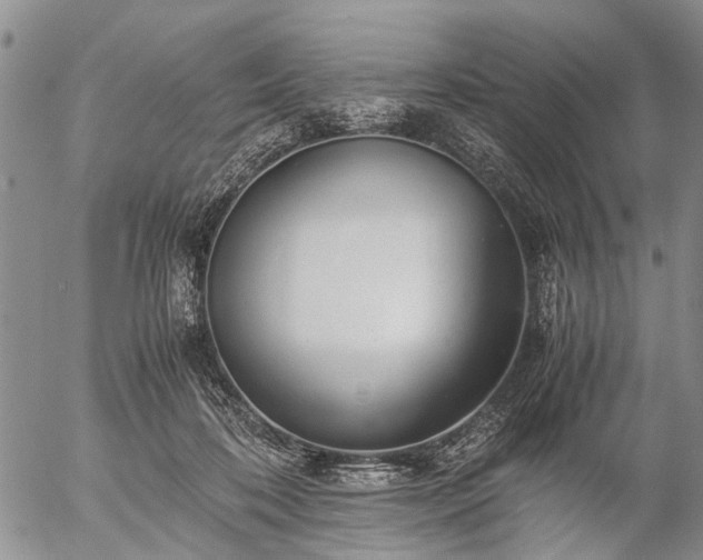 X0000057080316200509161611