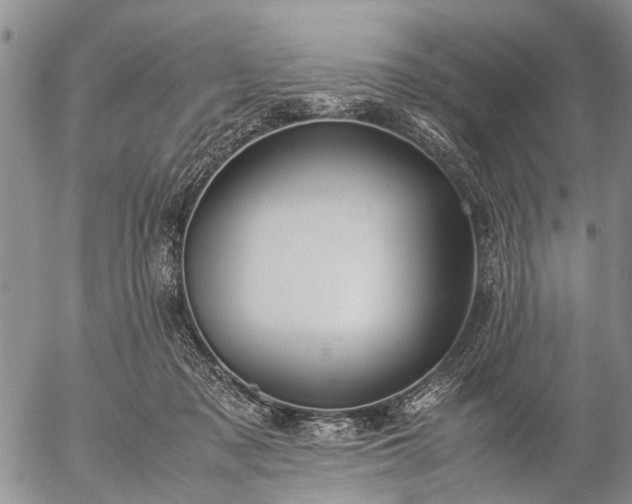 X0000057080317200509161610