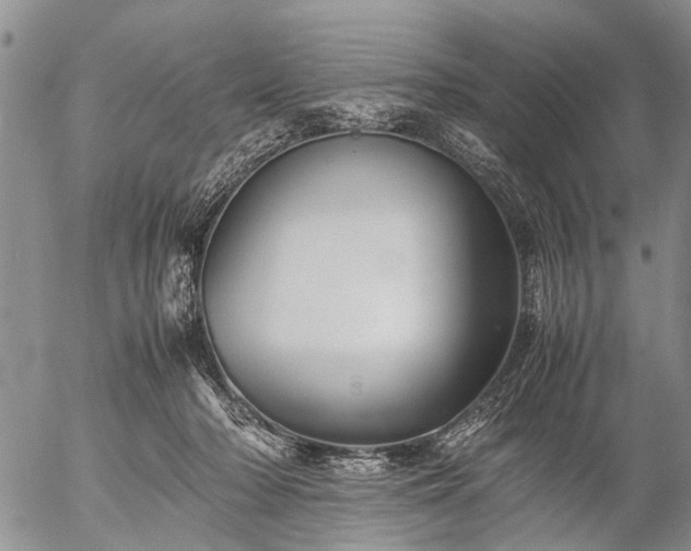 X0000057080318200509161610