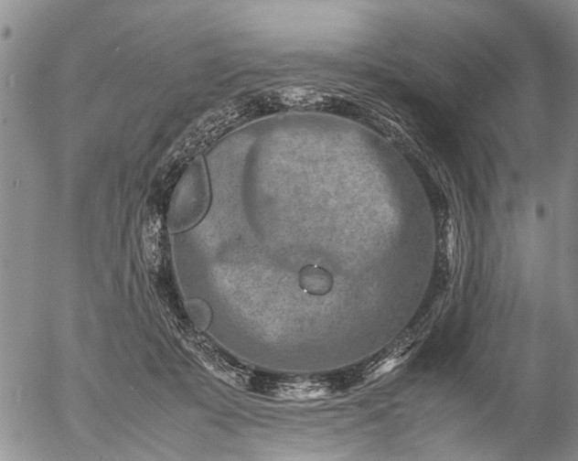 X0000057080319200509161610