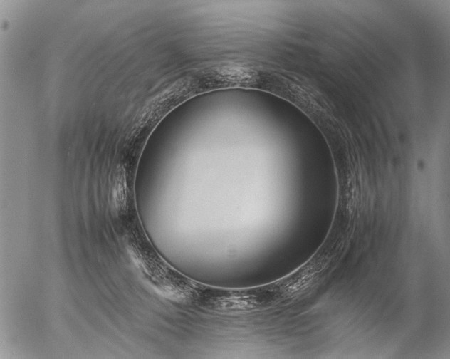 X0000057080320200509161610