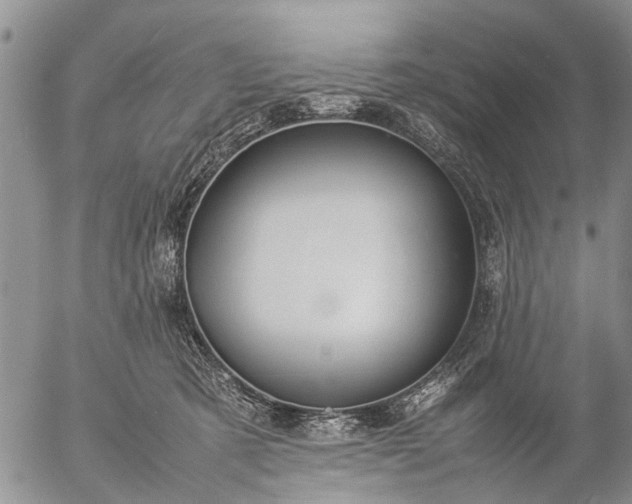 X0000057080321200509161610