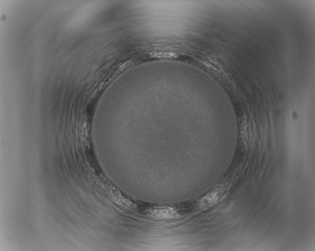 X0000057080322200509161610