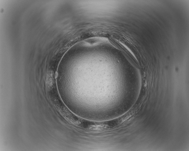 X0000057080323200509161610