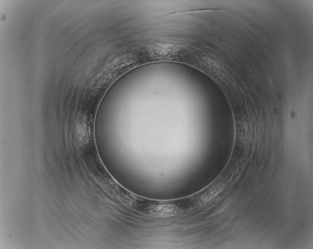 X0000057080324200509161610