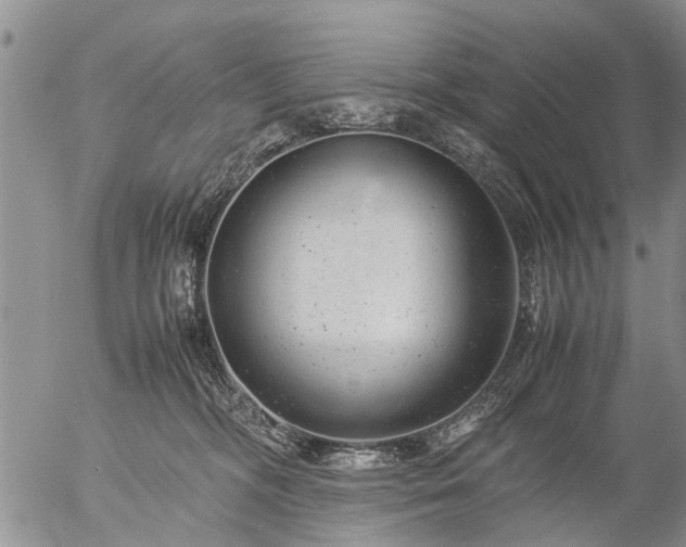 X0000057080326200509161610