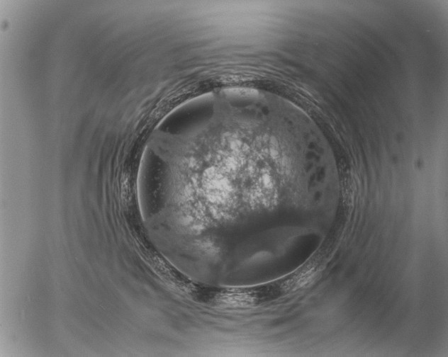 X0000057080327200509161610