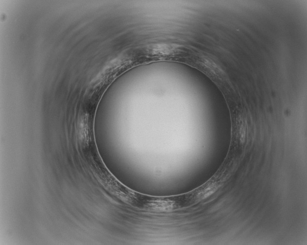 X0000057080328200509161610