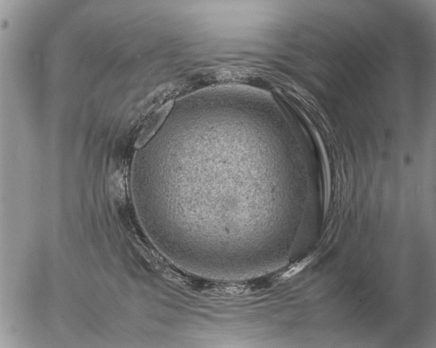 X0000057080329200509161610