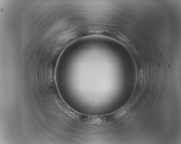 X0000057080330200509161610