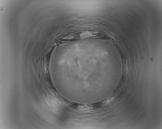 X0000057080331200509161610