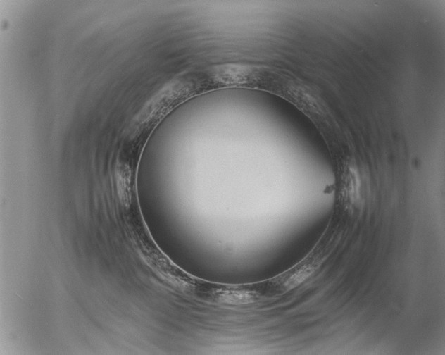 X0000057080332200509161610