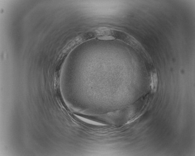 X0000057080333200509161610