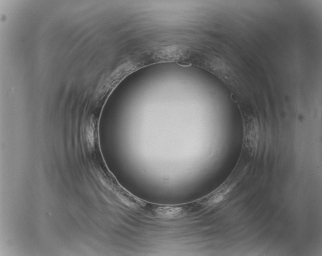 X0000057080334200509161610