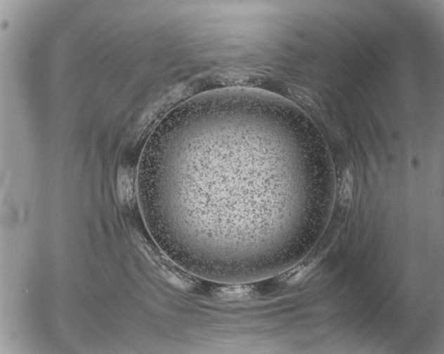 X0000057080335200509161610