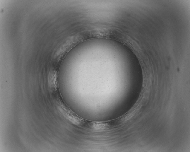 X0000057080336200509161610