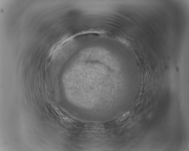 X0000057080337200509161609