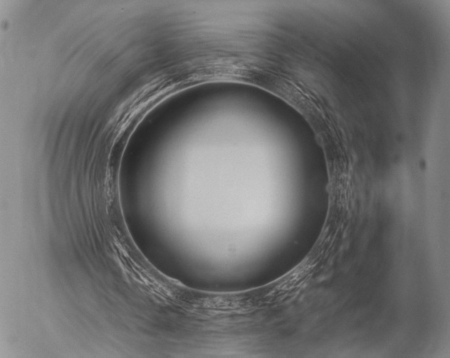 X0000057080338200509161609