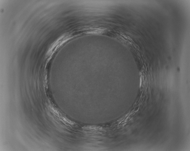 X0000057080339200509161609