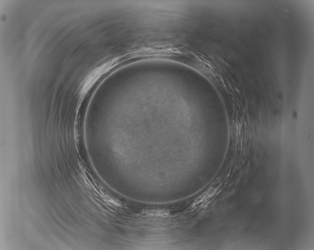 X0000057080340200509161609