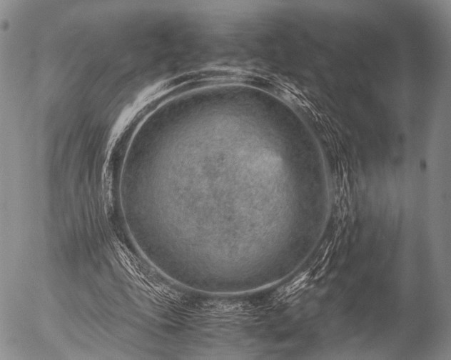 X0000057080343200509161609