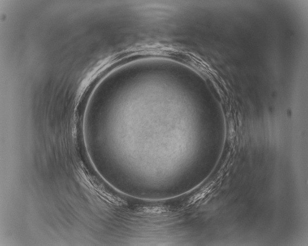 X0000057080344200509161609