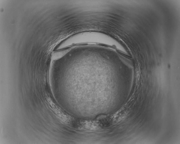 X0000057080345200509161610