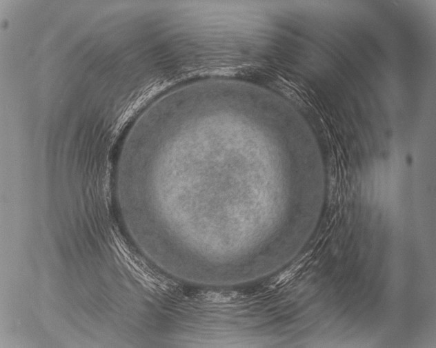 X0000057080346200509161610