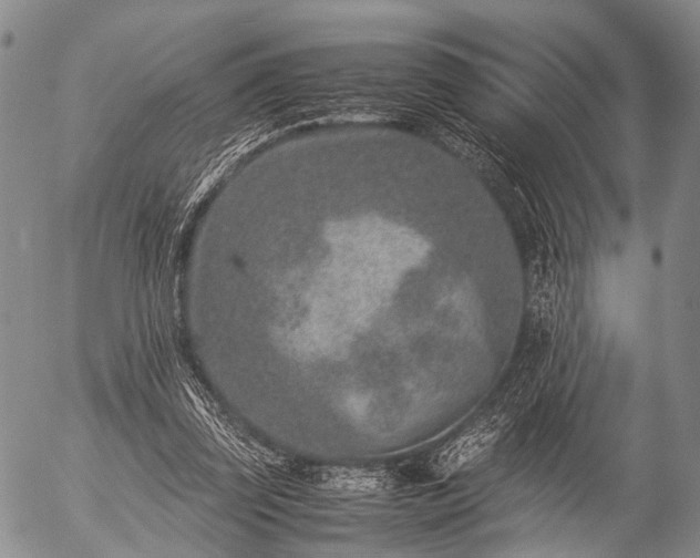 X0000057080347200509161610