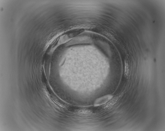 X0000057080348200509161610