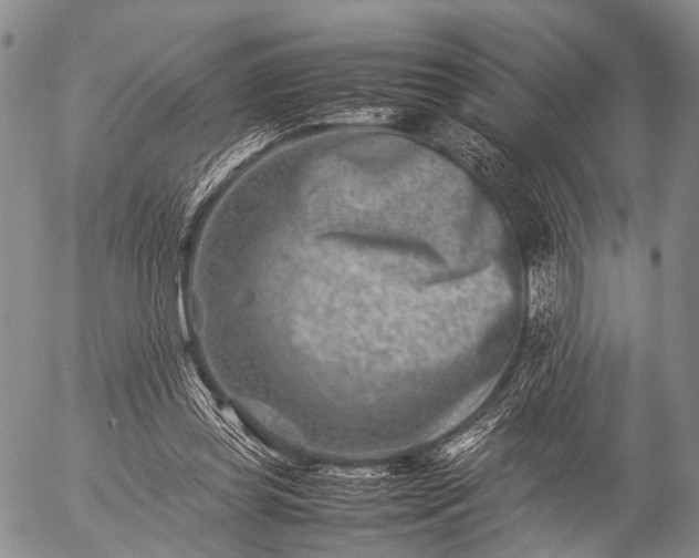 X0000057080349200509161610