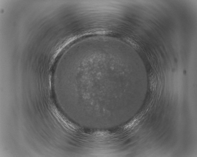 X0000057080350200509161610