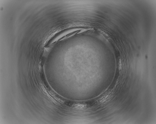 X0000057080352200509161610