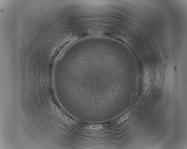 X0000057080353200509161610