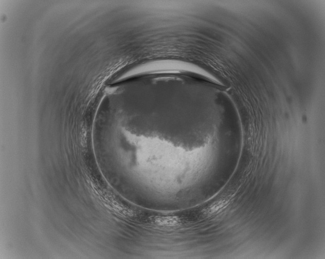 X0000057080355200509161610