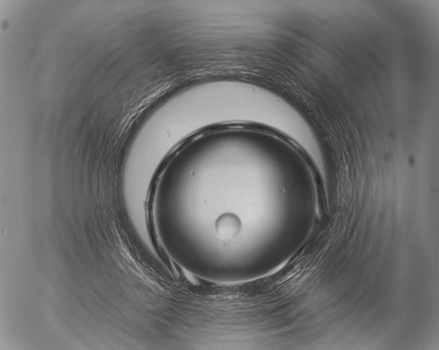 X0000057080356200509161610