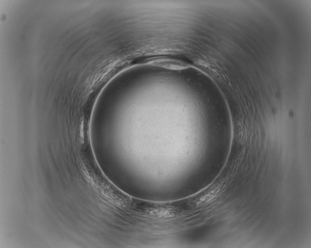 X0000057080358200509161610