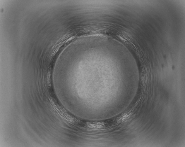 X0000057080359200509161610