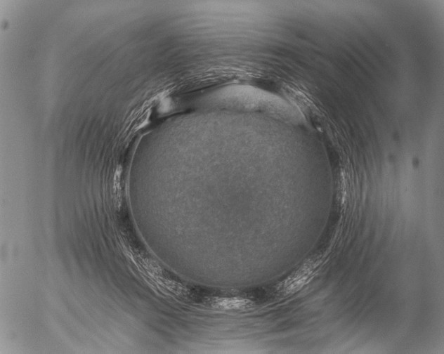 X0000057080360200509161610