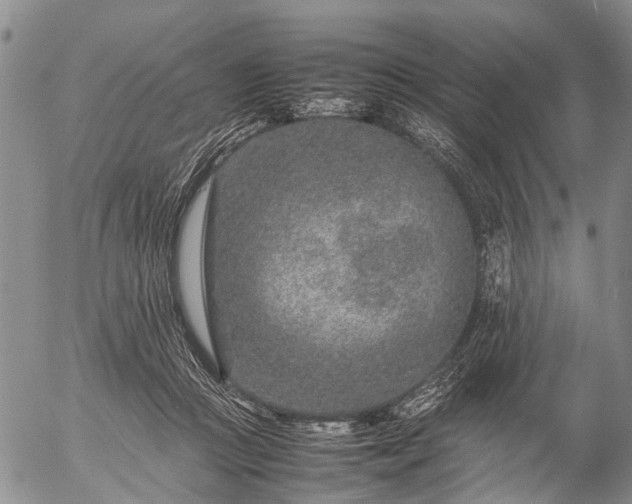 X0000057080361200509161610