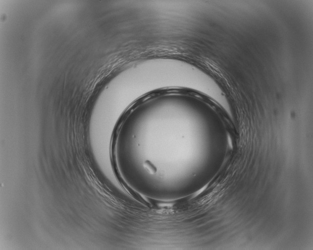 X0000057080362200509161610