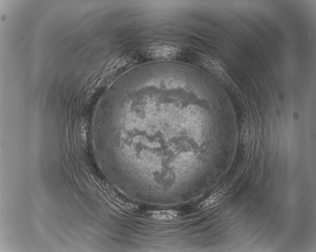 X0000057080363200509161610